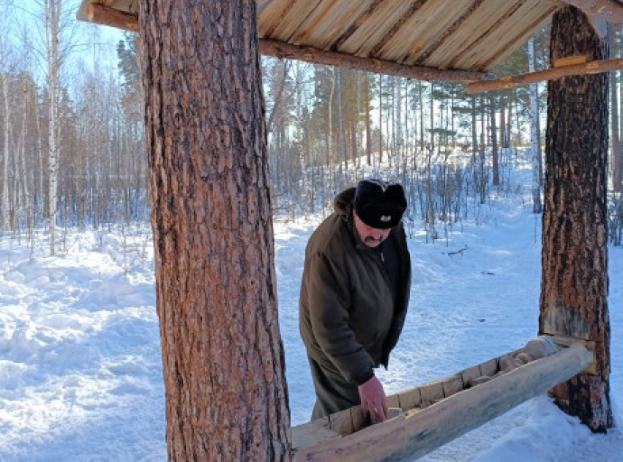 Охотничьи ресурсы в Новосибирской области