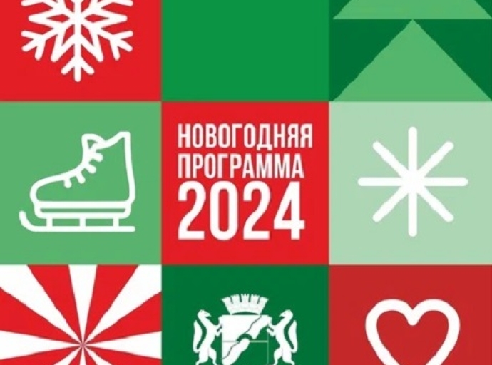В Новосибирске подвели итоги празднования Нового года.